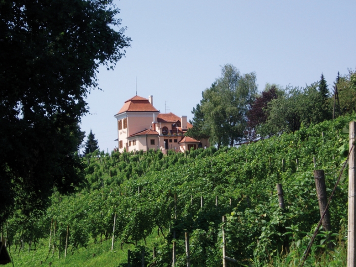 Guščja jetra u tramincu - Restoran Zlatne gorice